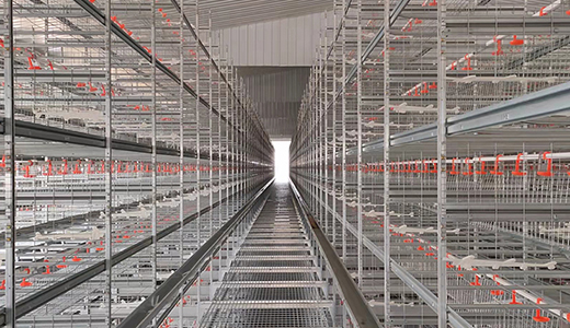 山東濰坊現(xiàn)代食品（360萬(wàn)蛋雞）全產(chǎn)業(yè)鏈