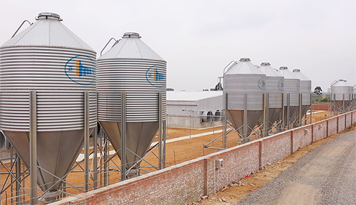 湛江北坡三合14000育肥五場(chǎng)