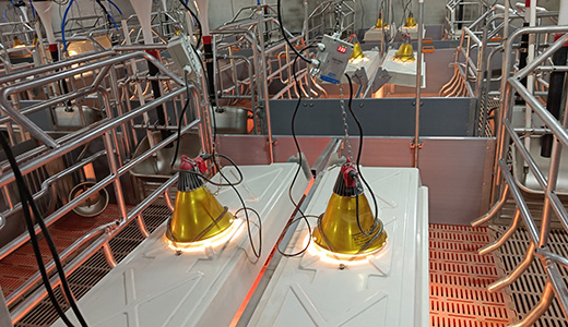 內(nèi)蒙豬場(chǎng)IoT建設(shè)