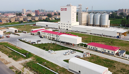 正大飼料（滁州）有限公司年30萬(wàn)噸畜禽飼料廠